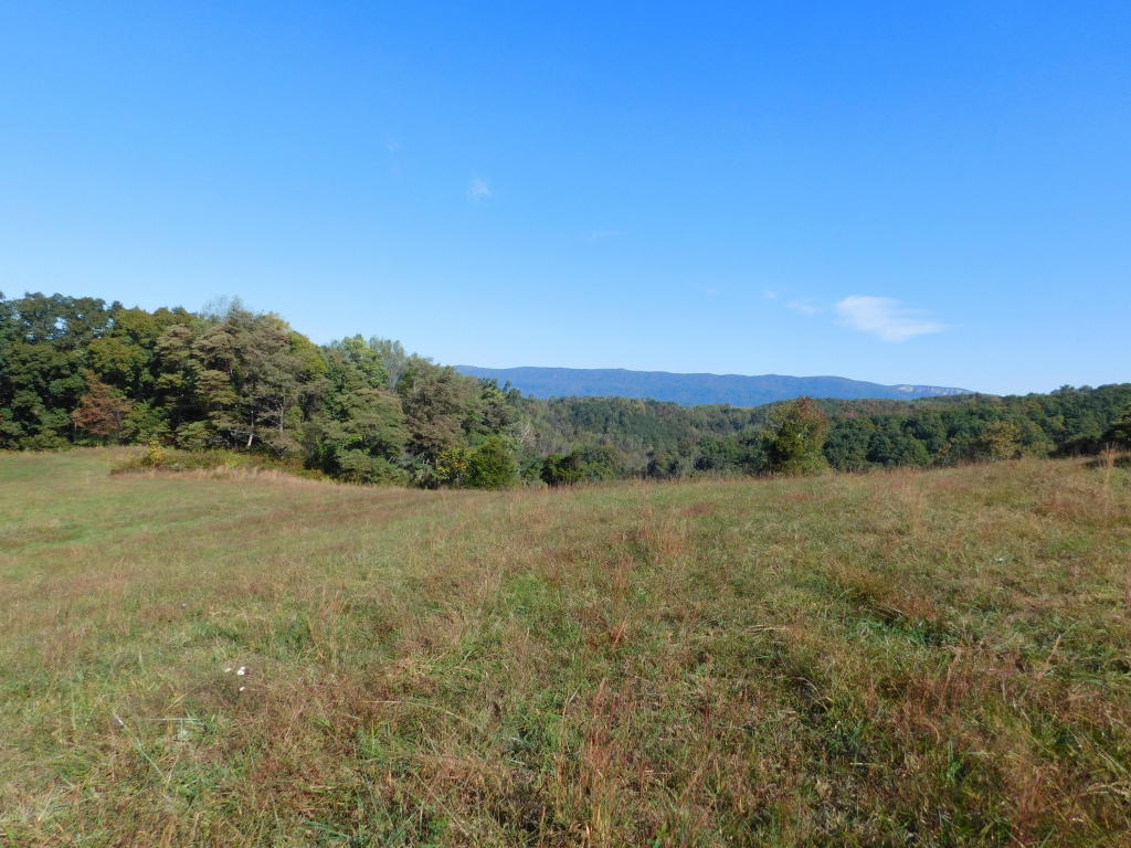 6650 Hopewell Road Harrogate, TN 37752 - Photo 8 of 19 20161013142528053323000000-o