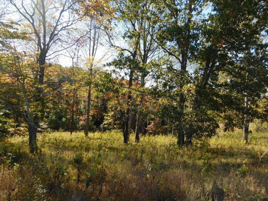 6650 Hopewell Road Harrogate, TN 37752 - Photo 9 of 19 20161013142629503230000000-o