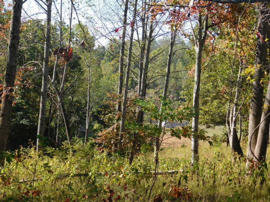 6650 Hopewell Road Harrogate, TN 37752 - Photo 10 of 19 20161013142731203395000000-o