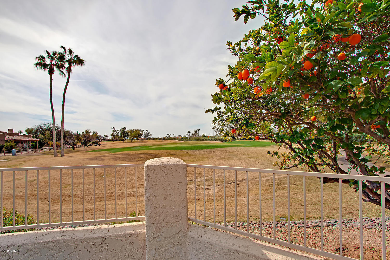19009 East Wiki Way Rio Verde, AZ 85263 - Photo 40 of 55 Citrus Trees