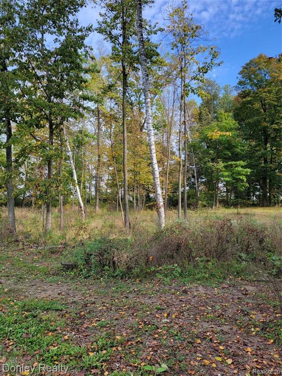 5752 Marlette Road Marlette, MI 48453 - Photo 43 of 52 Gallery Image 43