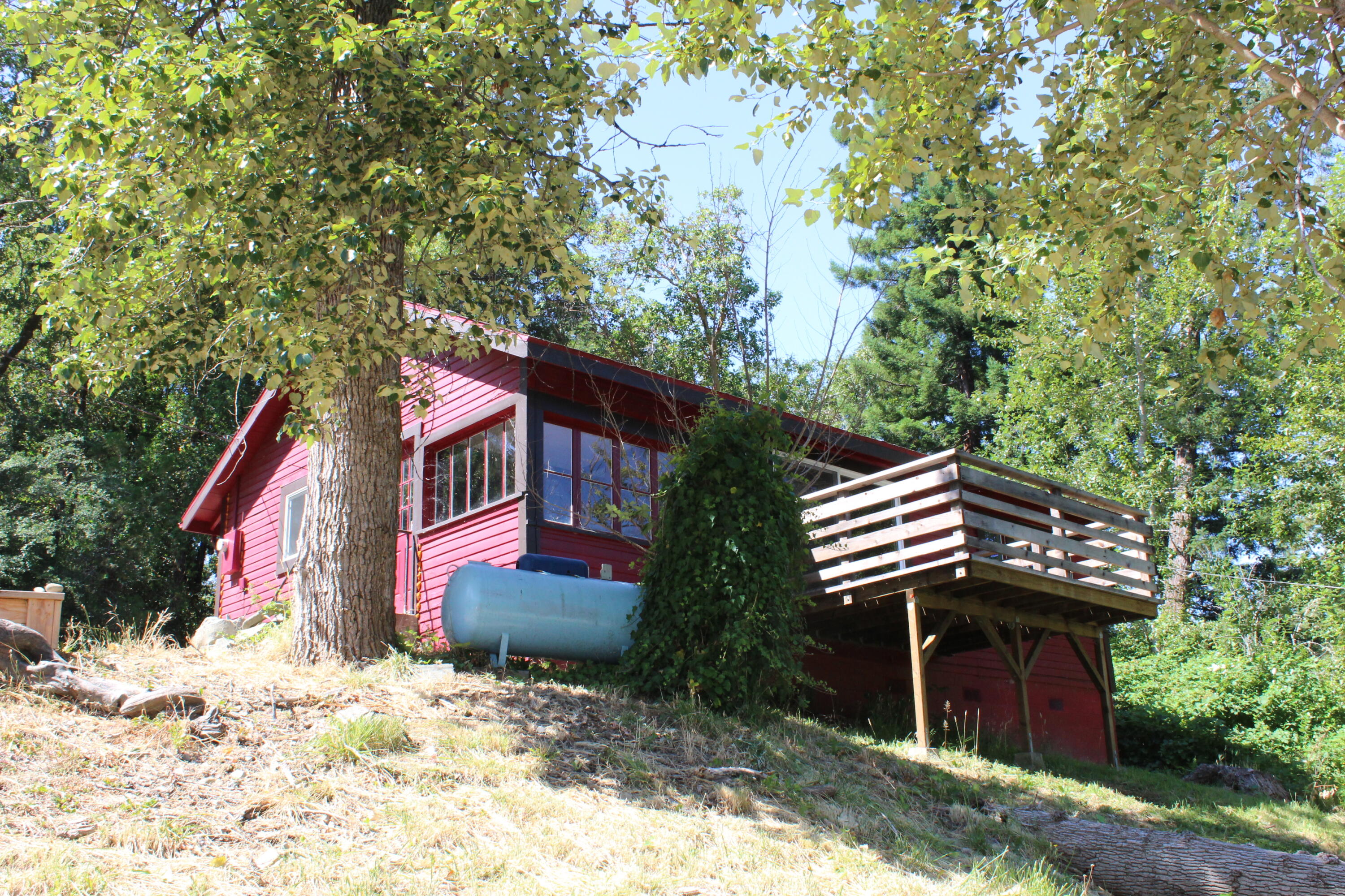 815 Briceland Road Redway, CA 95560 - Photo 4 of 18 2025_07_21_4674
