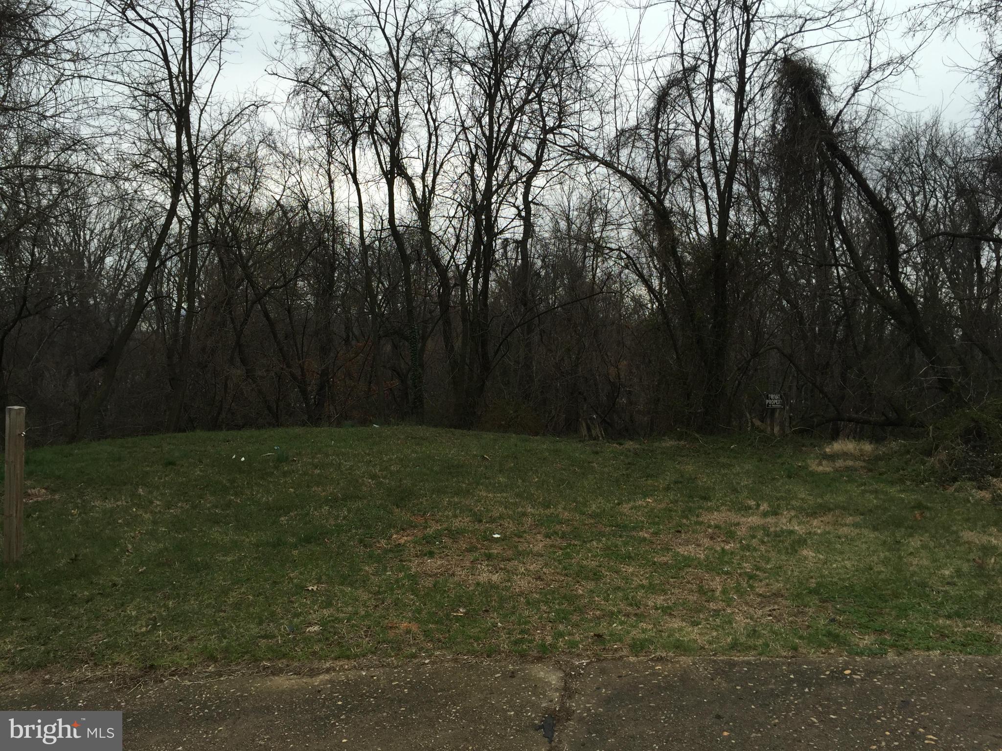 1231 Church Street Baltimore, MD 21225 - Photo 27 of 30 Extra two lots on back