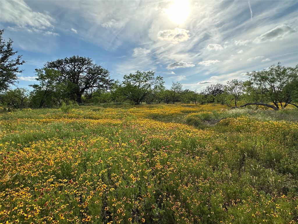 2240 Buck Ridge Road Melvin, TX 76858 - Photo 22 of 28 Gallery Image 22