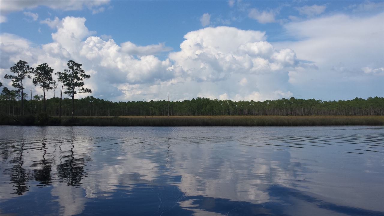 748 Mill Road Carrabelle, FL 32322 - Photo 1 of 1 Gallery Image 1