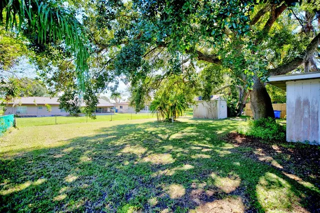 a view of a yard with plants and large trees