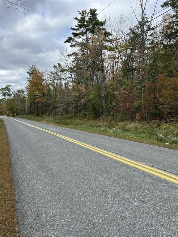 0 Goose Pond Road Lee, MA 01238 - Photo 11 of 12 a view of a big yard with large trees
