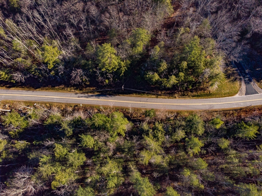 0 Goose Pond Road Lee, MA 01238 - Photo 12 of 12 a view of a yard with an outdoor space