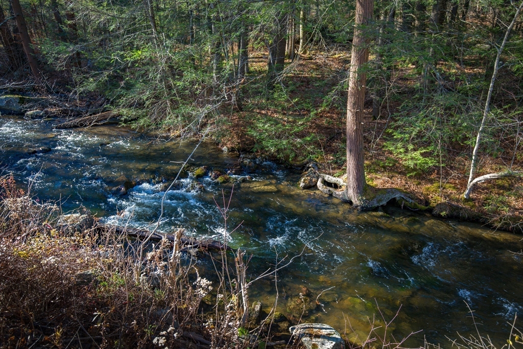 0 Goose Pond Road Lee, MA 01238 - Photo 5 of 12 a view of a forest filled with trees