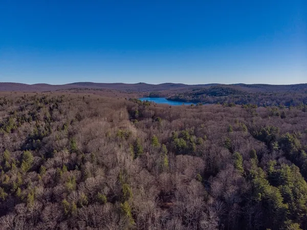 a backyard of a house with lots of trees