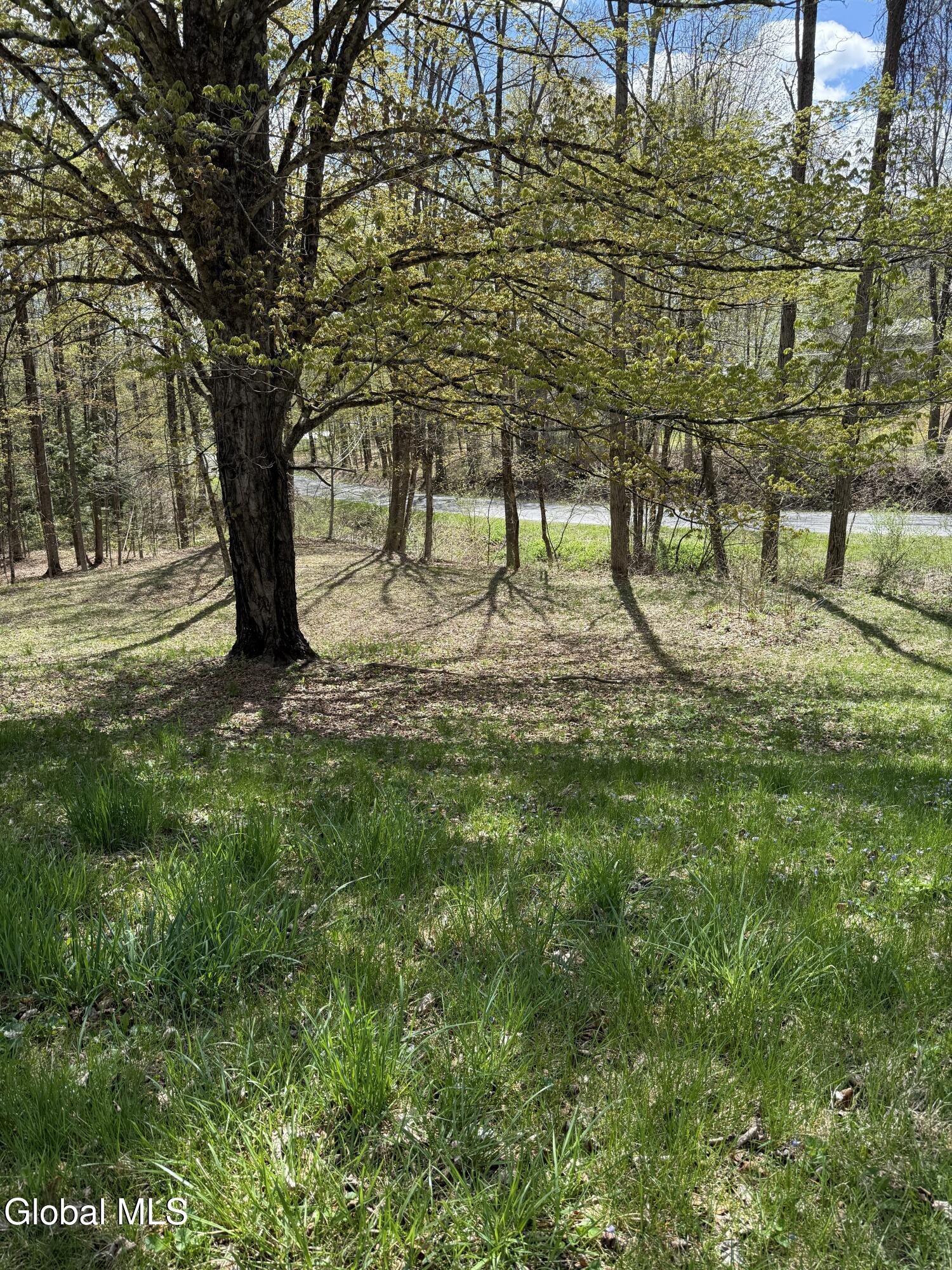 34 N Road Dresden, NY 12819 - Photo 16 of 17 IMG_7098