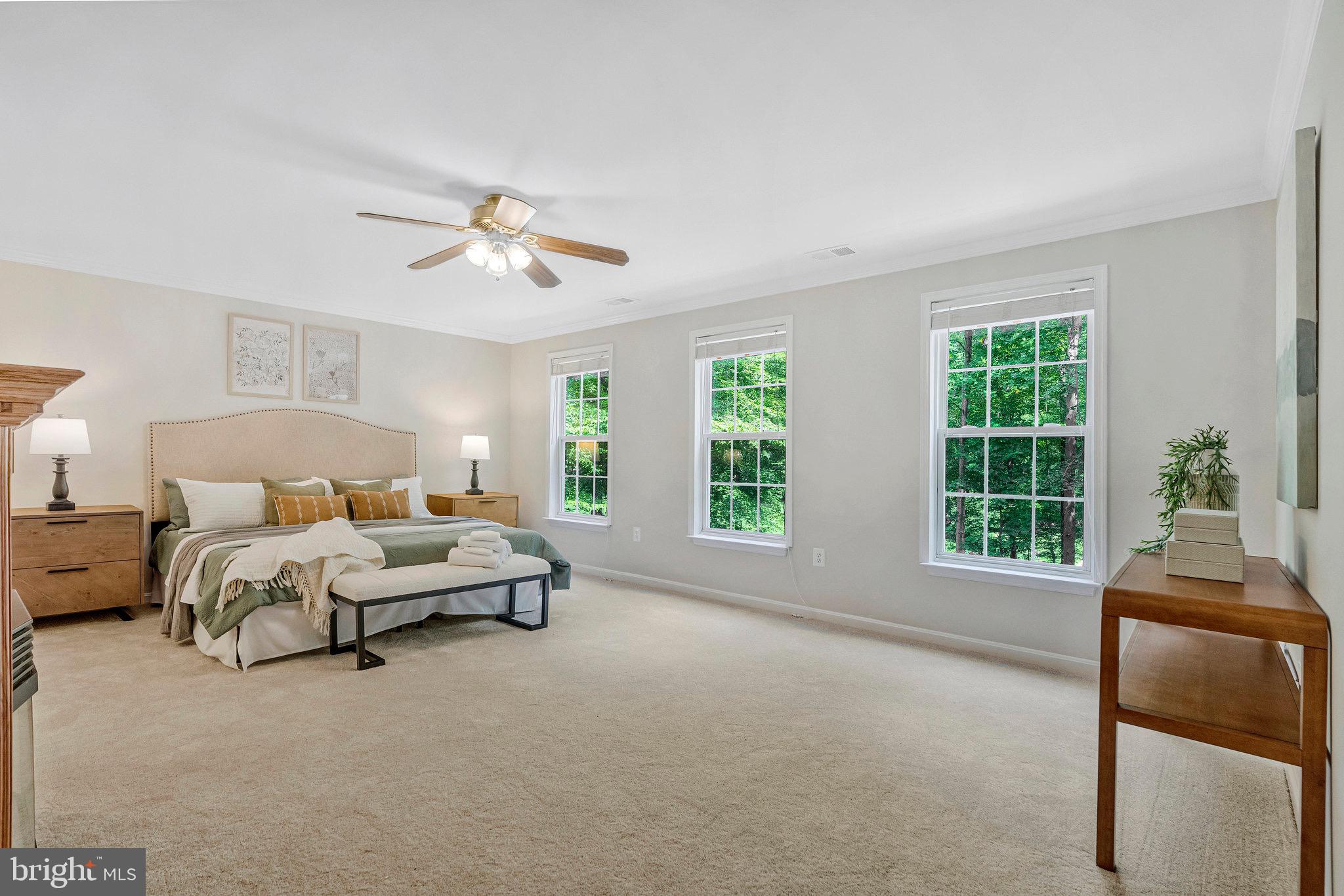 6265 Happy Creek Road Manassas, VA 20112 - Photo 32 of 50 Spacious primary bedroom w/ serene natural light.
