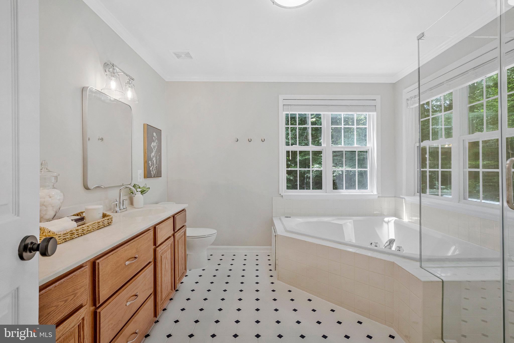 6265 Happy Creek Road Manassas, VA 20112 - Photo 36 of 50 Elegant primary bathroom with natural light.