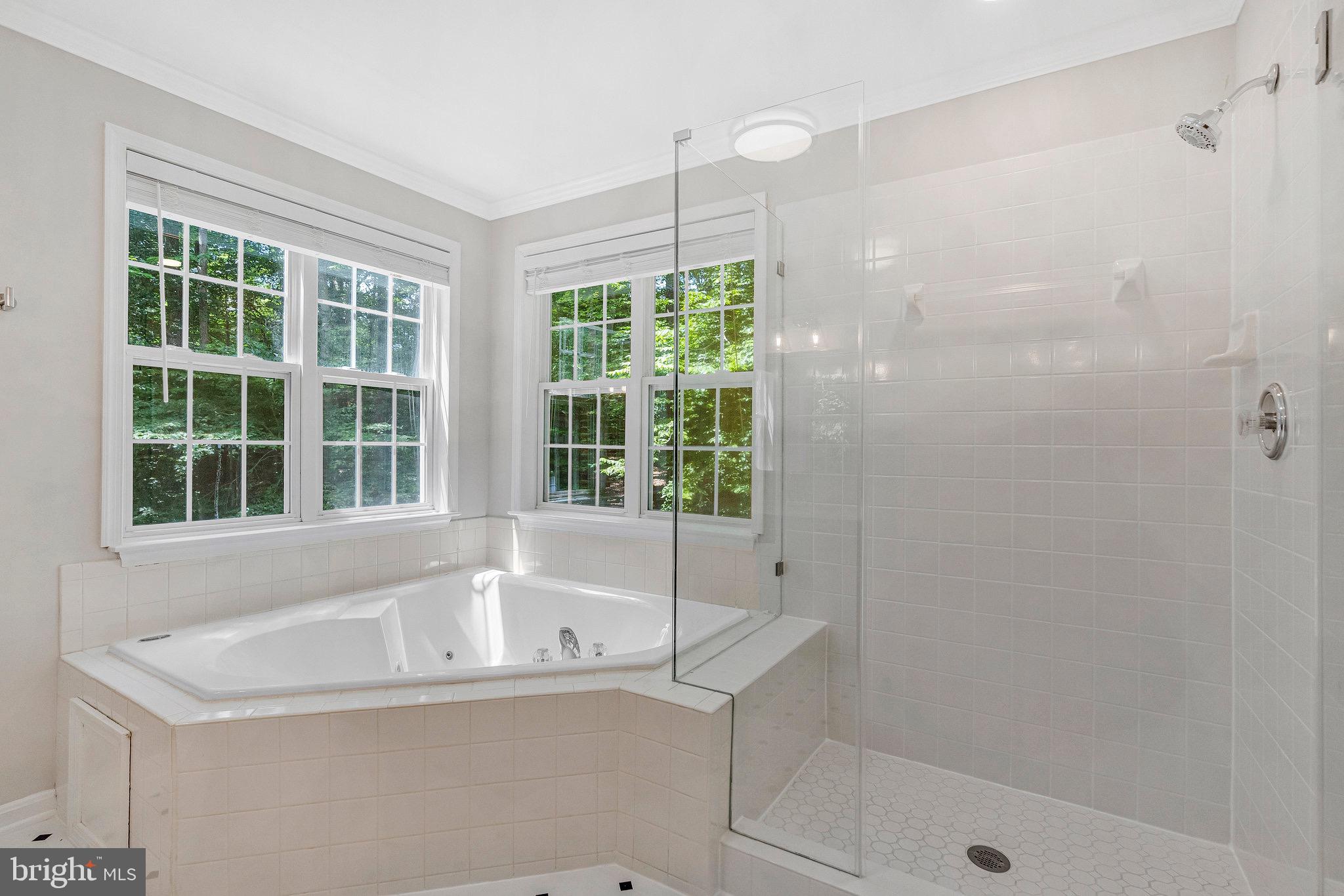 6265 Happy Creek Road Manassas, VA 20112 - Photo 38 of 50 Serene spa-like bathroom with natural light.