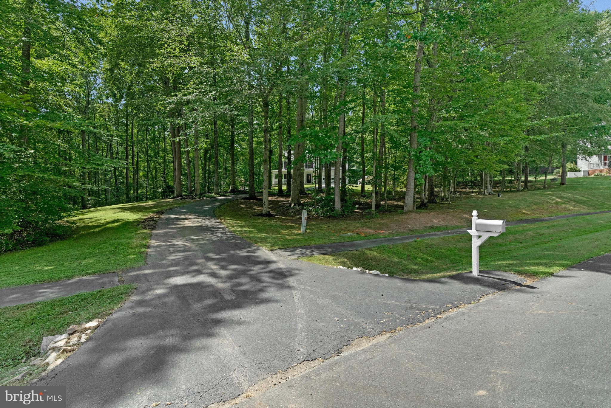 6265 Happy Creek Road Manassas, VA 20112 - Photo 50 of 50 Serene wooded retreat awaits your arrival.