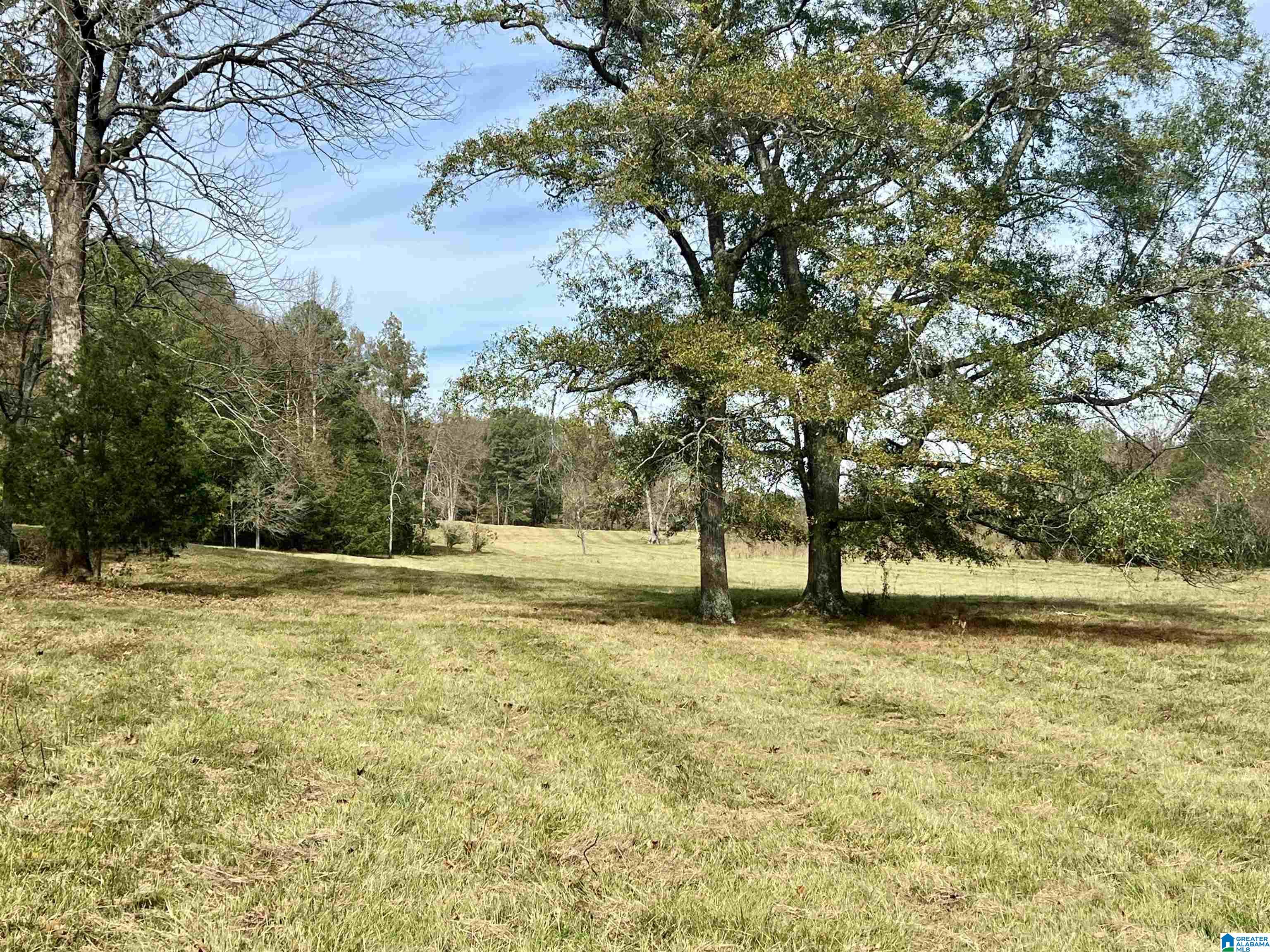 1045 A Sand Valley Road Remlap, AL 35133 - Photo 44 of 70