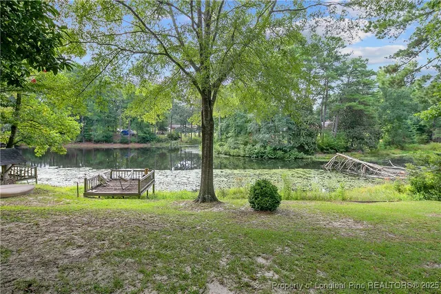 a view of a garden with a slide