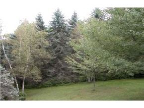 169 Stevens Road Lebanon, NH 03766 - Photo 3 of 4