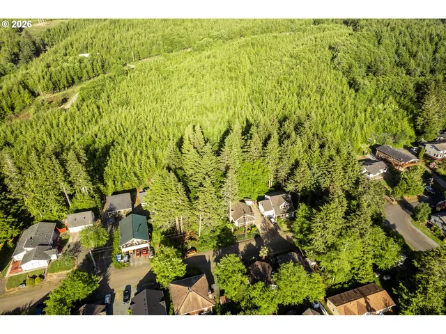 a view of a bunch of trees and bushes