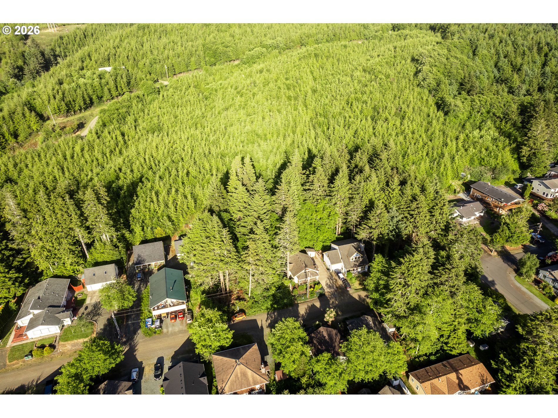 South Quadrant Street Rockaway Beach, OR 97136 - Photo 3 of 9 a view of a bunch of trees and bushes