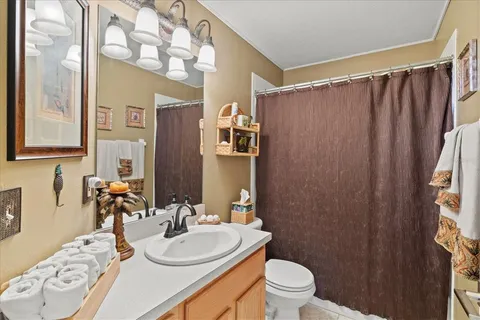 a bathroom with a sink a toilet and shower curtain