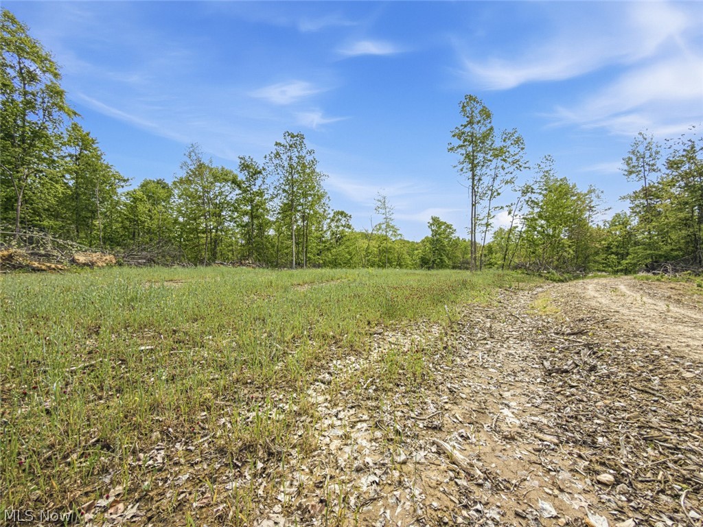 69-acres Newlon Road Malta, OH 43758 - Photo 7 of 20