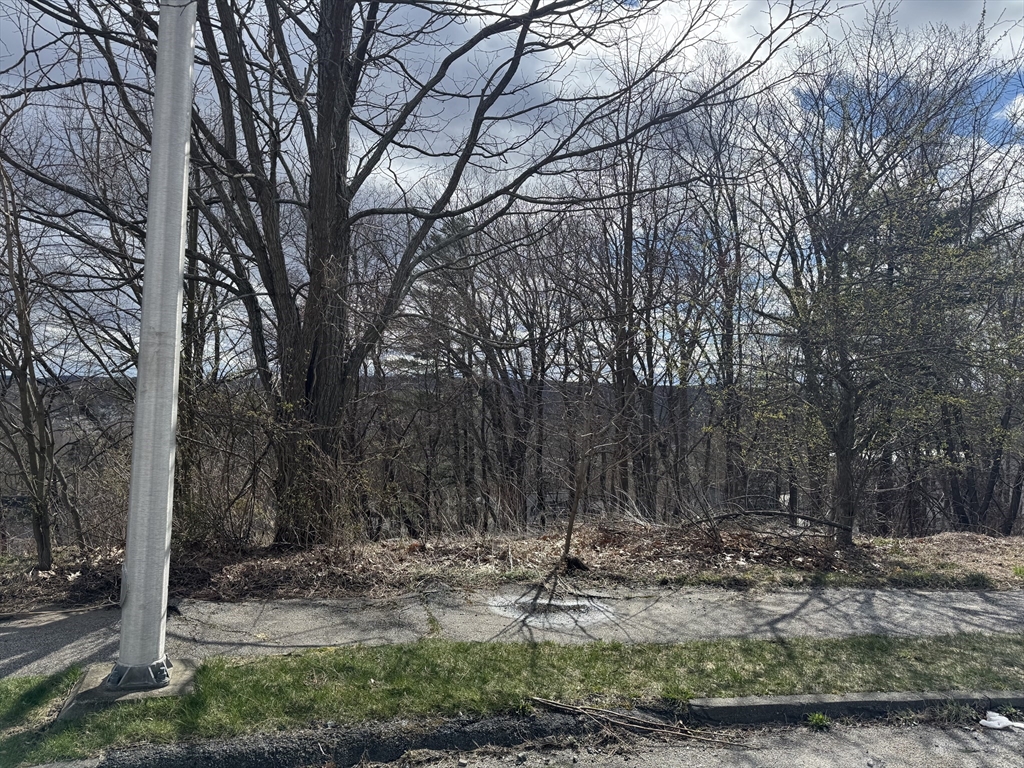 44 Rustic Drive Worcester, MA 01609 - Photo 2 of 4