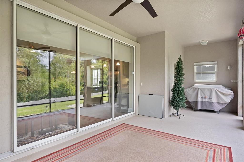 1923 Banning Beach Road Tavares, FL 32778 - Photo 33 of 44