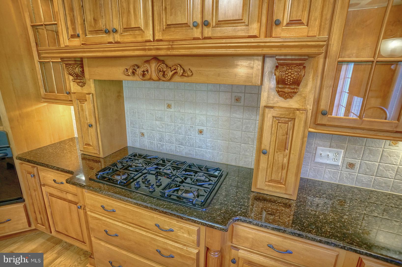 203 Hauer Terrace Spring Grove, PA 17362 - Photo 10 of 66