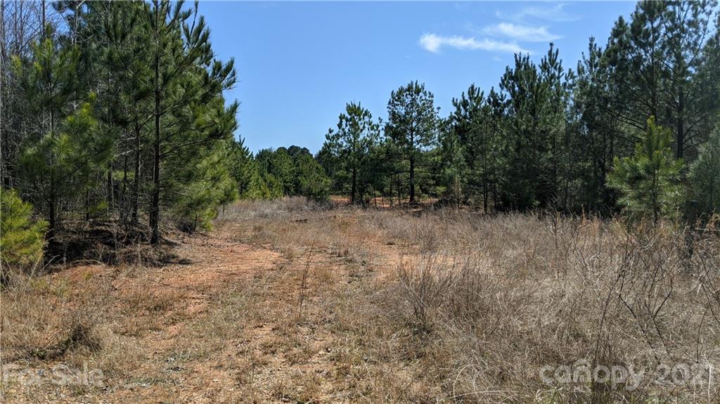33 Ac Chambers Road York, SC 29745 - Photo 11 of 12 Gallery Image 11
