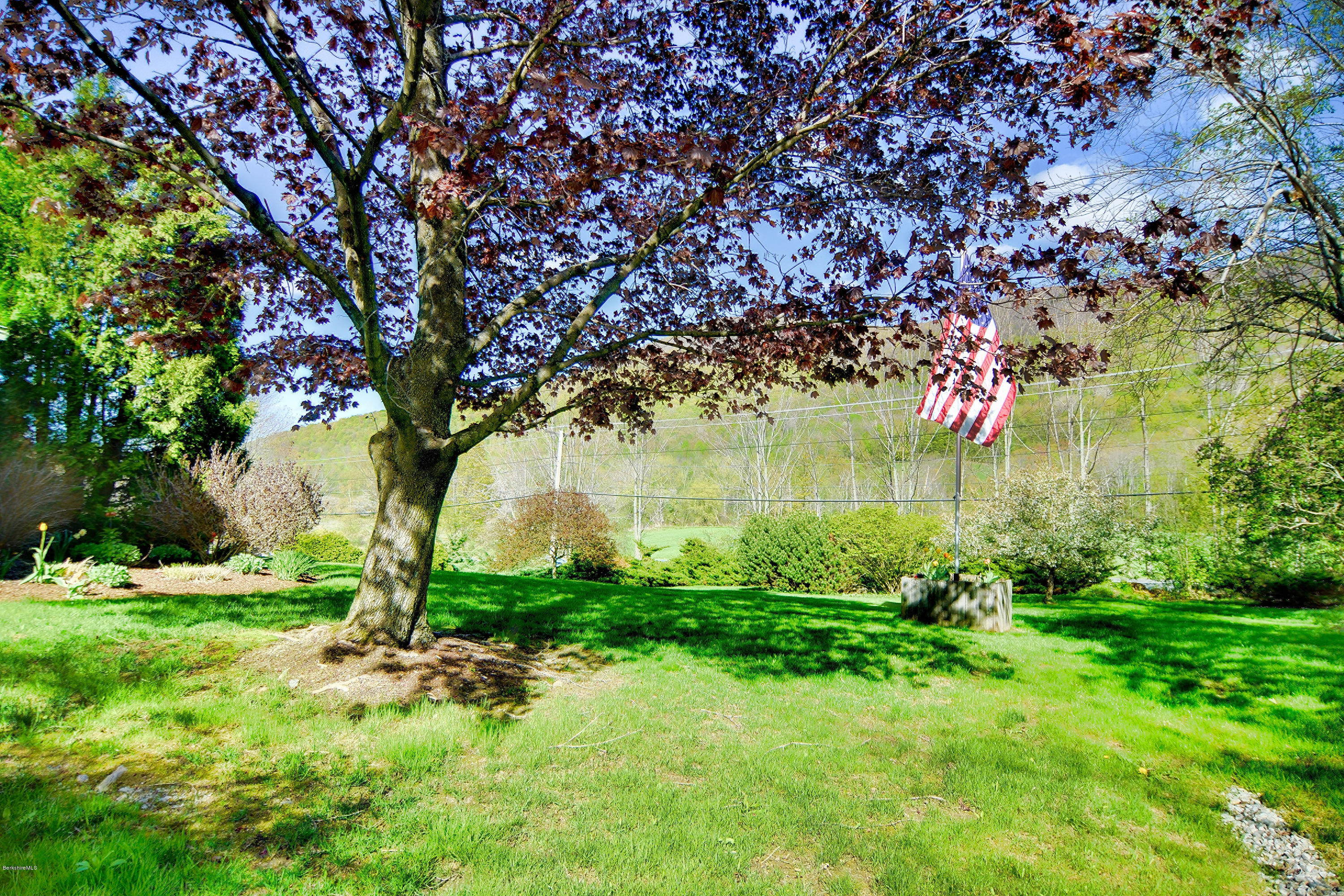 2231 Hancock Road Hancock, MA 01267 - Photo 36 of 39 a view of a garden with a tree