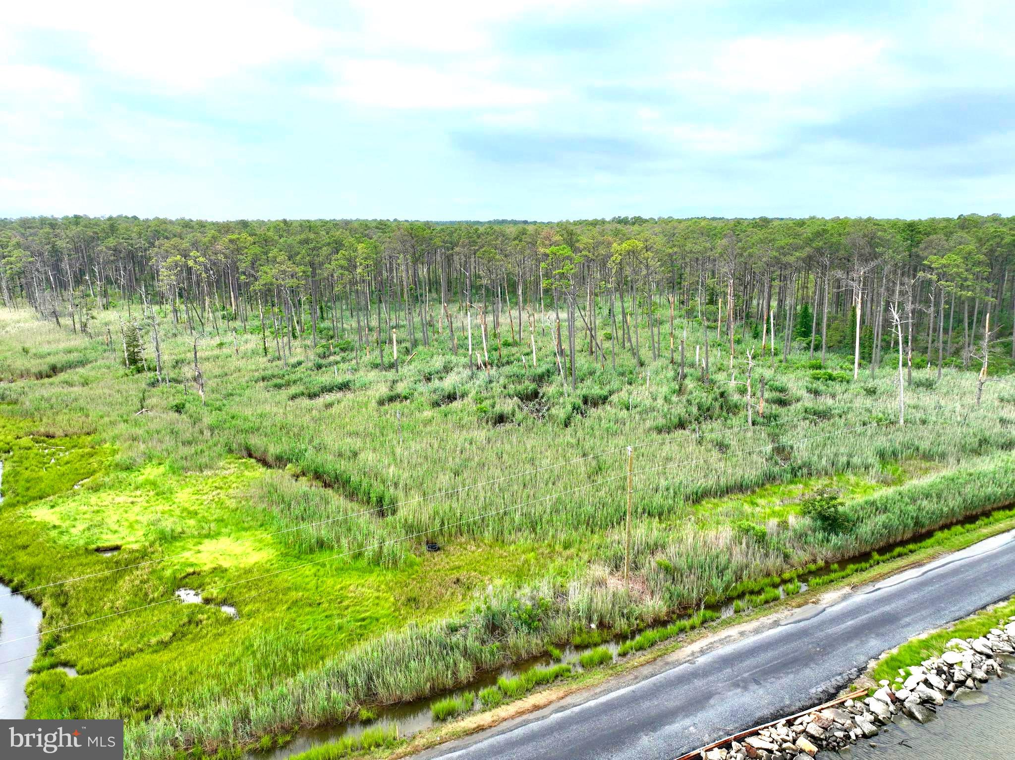 0 Hooper Neck Road Madison, MD 21648 - Photo 25 of 129
