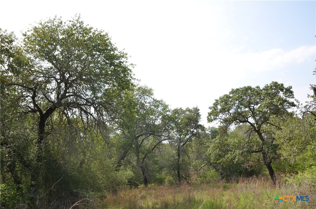 Lot 66 Powder Ridge Luling, TX 78648 - Photo 4 of 14