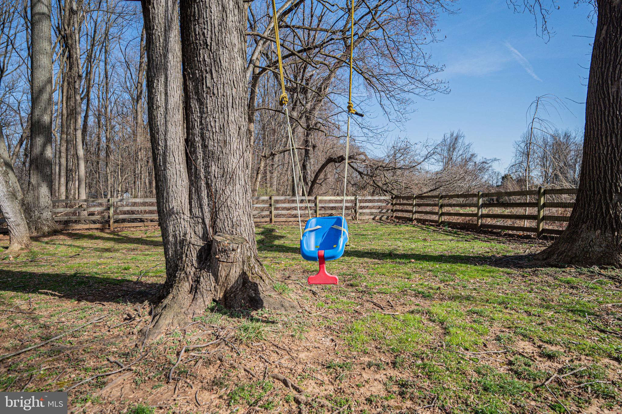 2705 Tallowtree Road Windsor Mill, MD 21244 - Photo 55 of 63 Trees and open area fenced in
