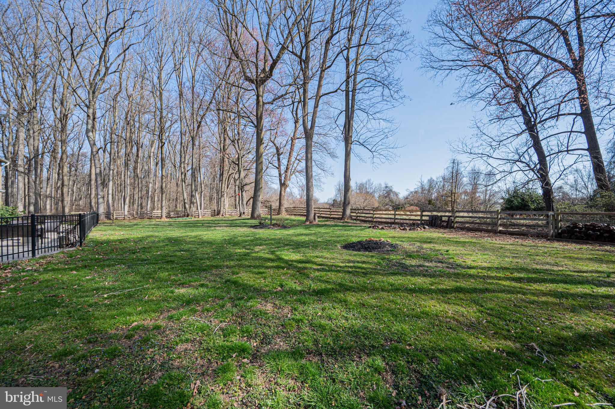 2705 Tallowtree Road Windsor Mill, MD 21244 - Photo 56 of 63 Back yard views