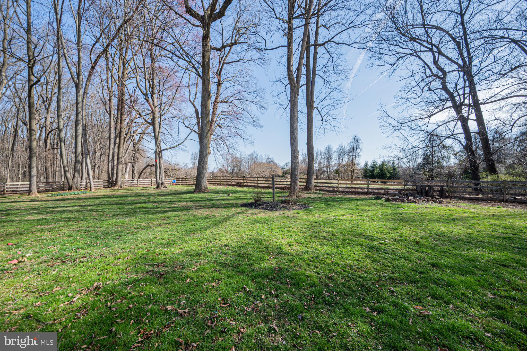2705 Tallowtree Road Windsor Mill, MD 21244 - Photo 57 of 63 Plenty of back yard space