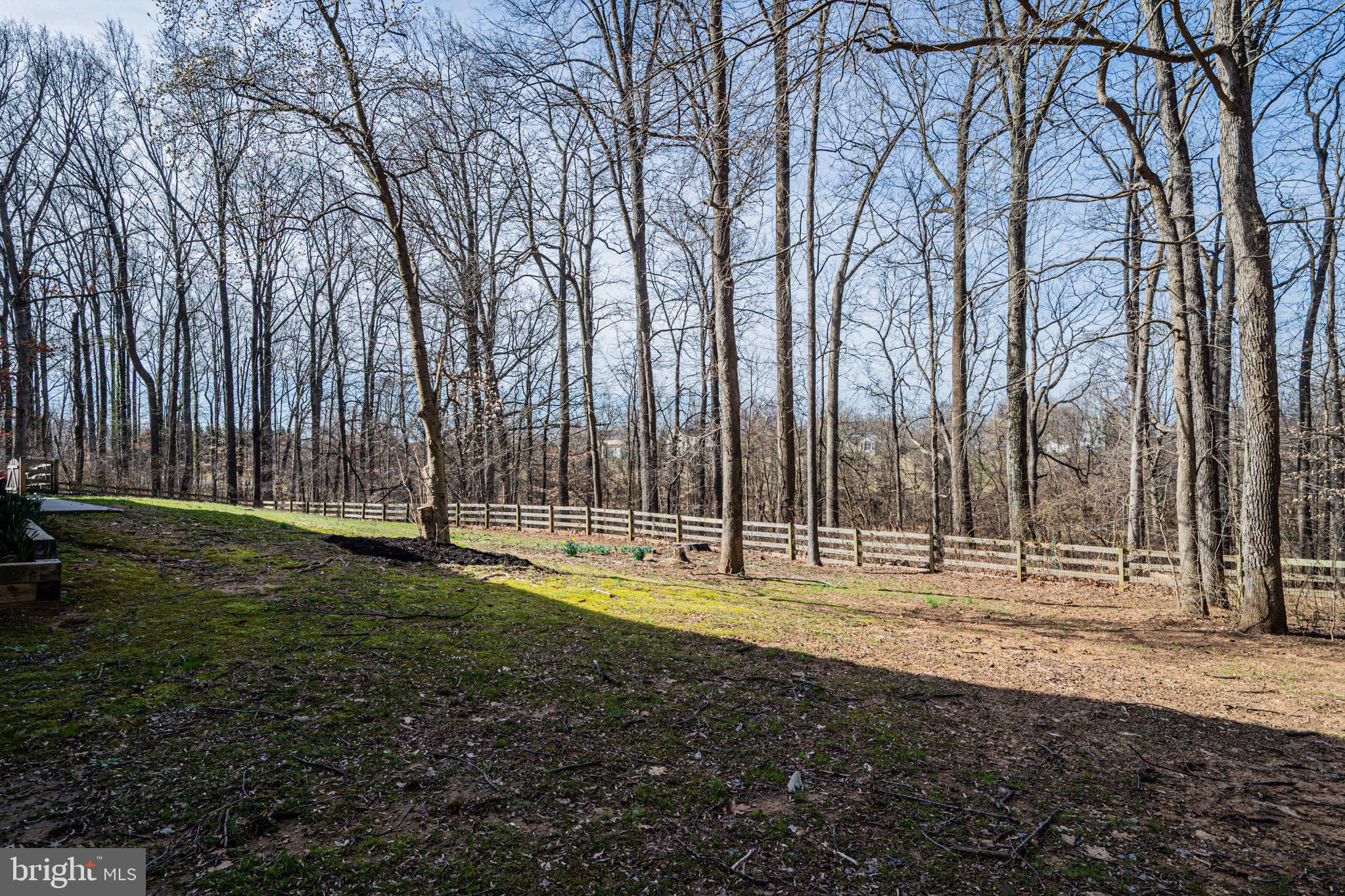 2705 Tallowtree Road Windsor Mill, MD 21244 - Photo 6 of 63 Private front views fenced in