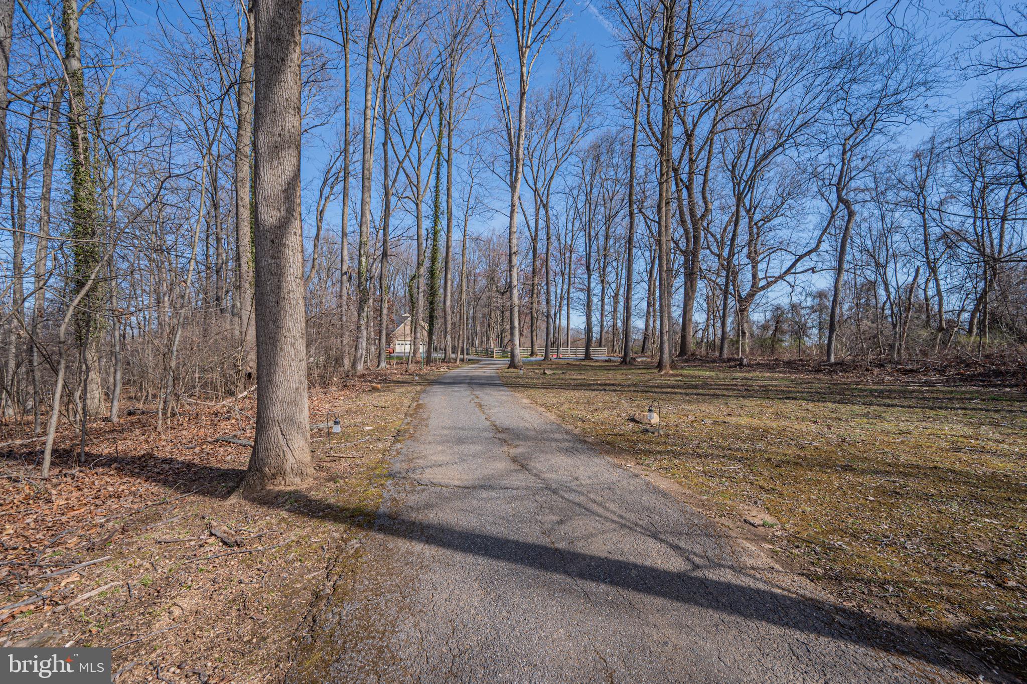 2705 Tallowtree Road Windsor Mill, MD 21244 - Photo 59 of 63 Private driveway leading to neighborhood
