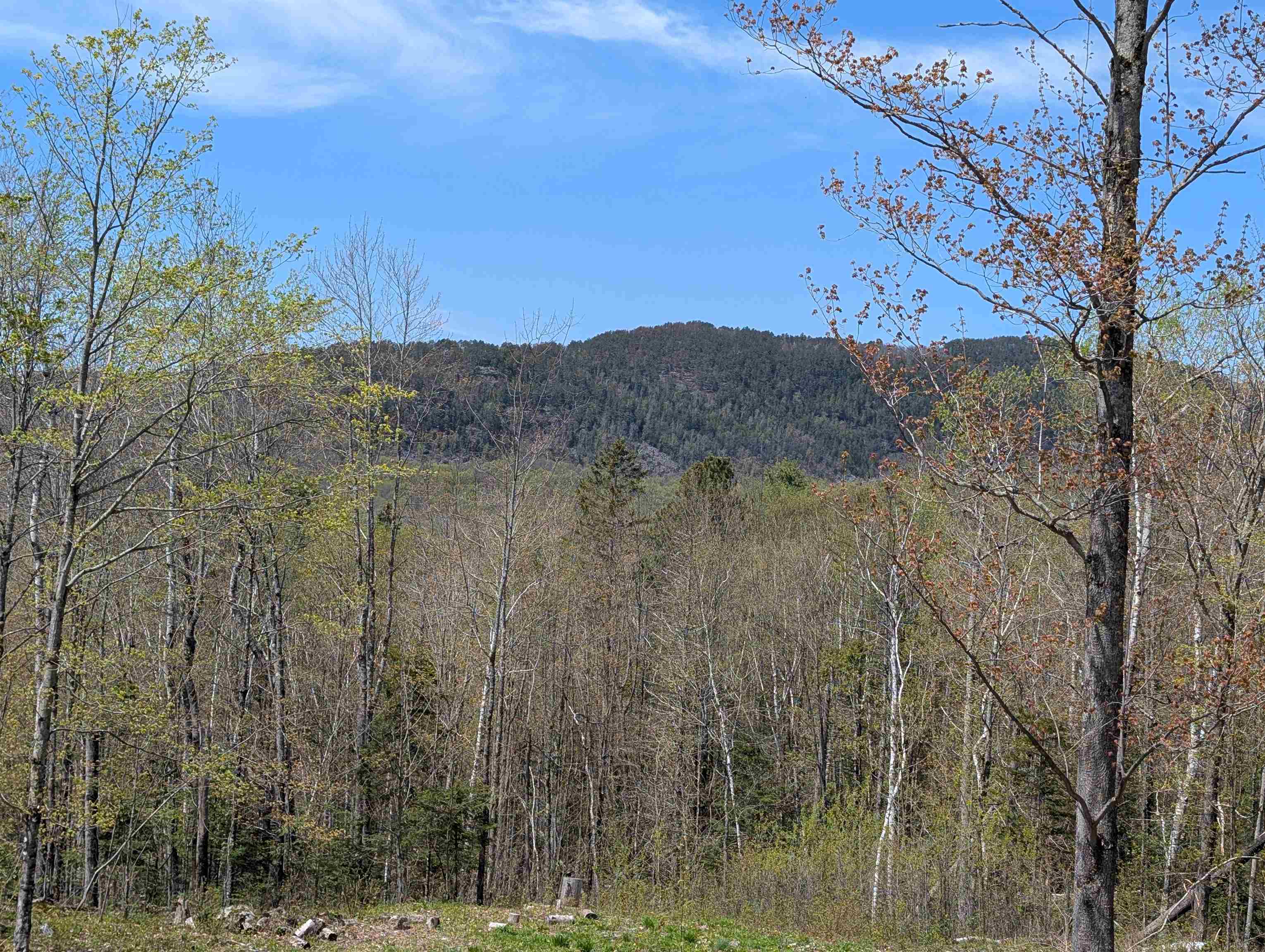 869 Lost Nation Road Northumberland, NH 03582 - Photo 58 of 60
