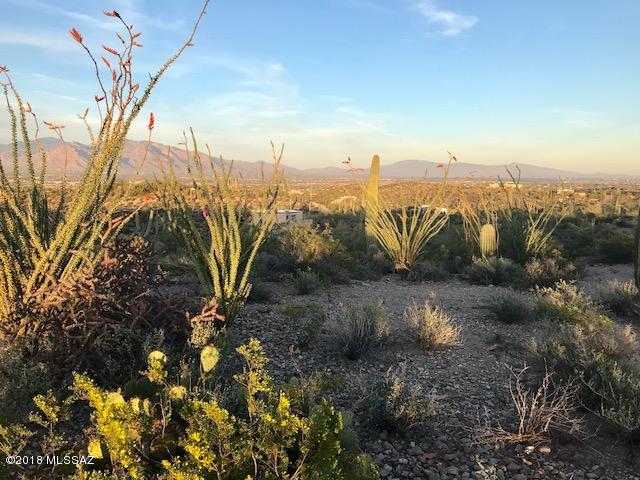 6762 West Sunset Road Tucson, AZ 85743 - Photo 9 of 10 Gallery Image 9