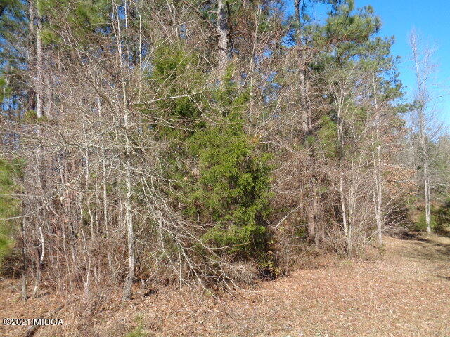 8725 Hopewell Road, Unit 1094 Lizella, GA 31052 - Photo 4 of 7 a view of a yard