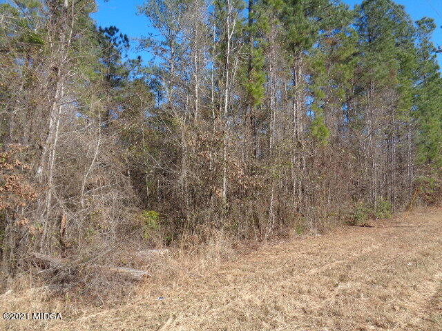 8725 Hopewell Road, Unit 1094 Lizella, GA 31052 - Photo 6 of 7 a view of small yard