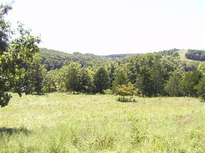 0 Rt 1, Unit B3503 Ava, MO 65608 - Photo 1 of 1 Primary Photo