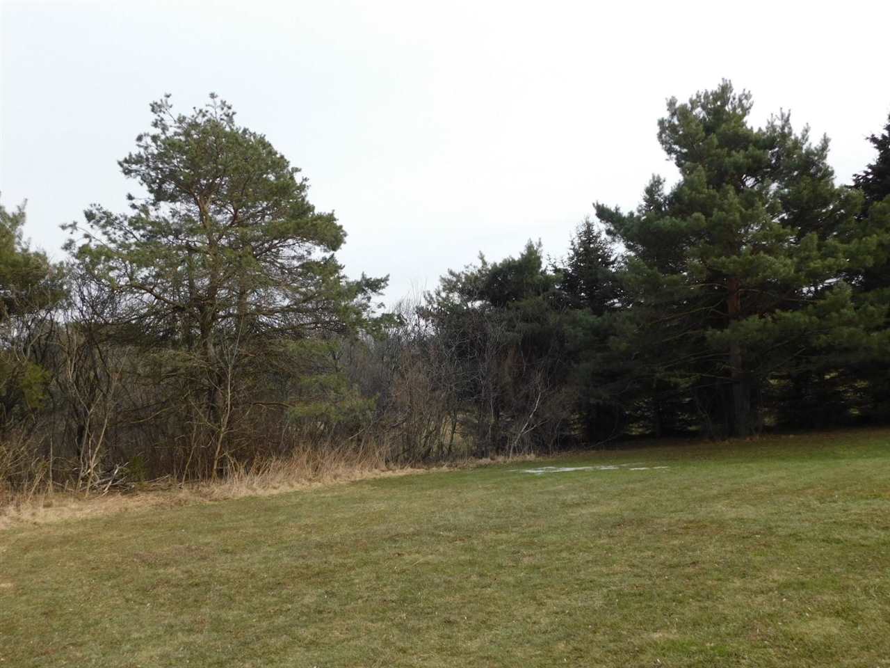 4468 Newark Road Attica, MI 48412 - Photo 24 of 25 Yard View