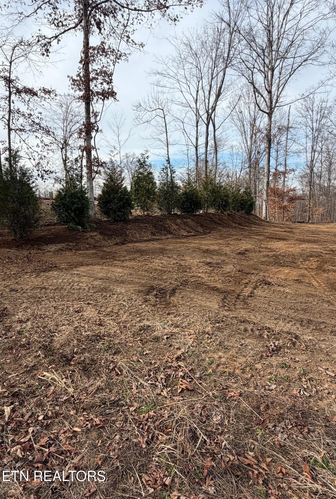 6813 Flint Gap Road Knoxville, TN 37914 - Photo 41 of 45 Back yard (2)
