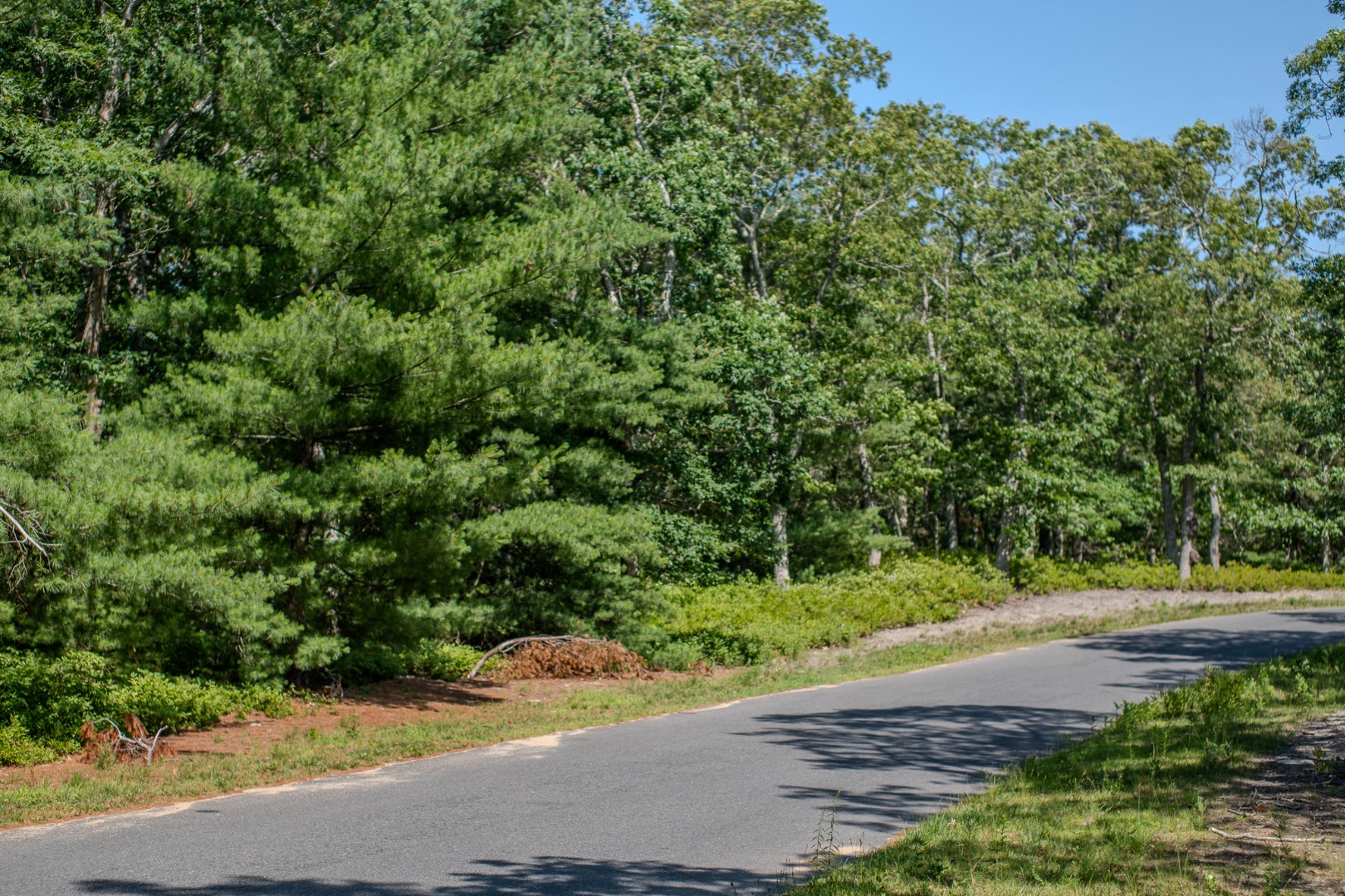30 Double Ox Road Oak Bluffs, MA 02557 - Photo 6 of 7
