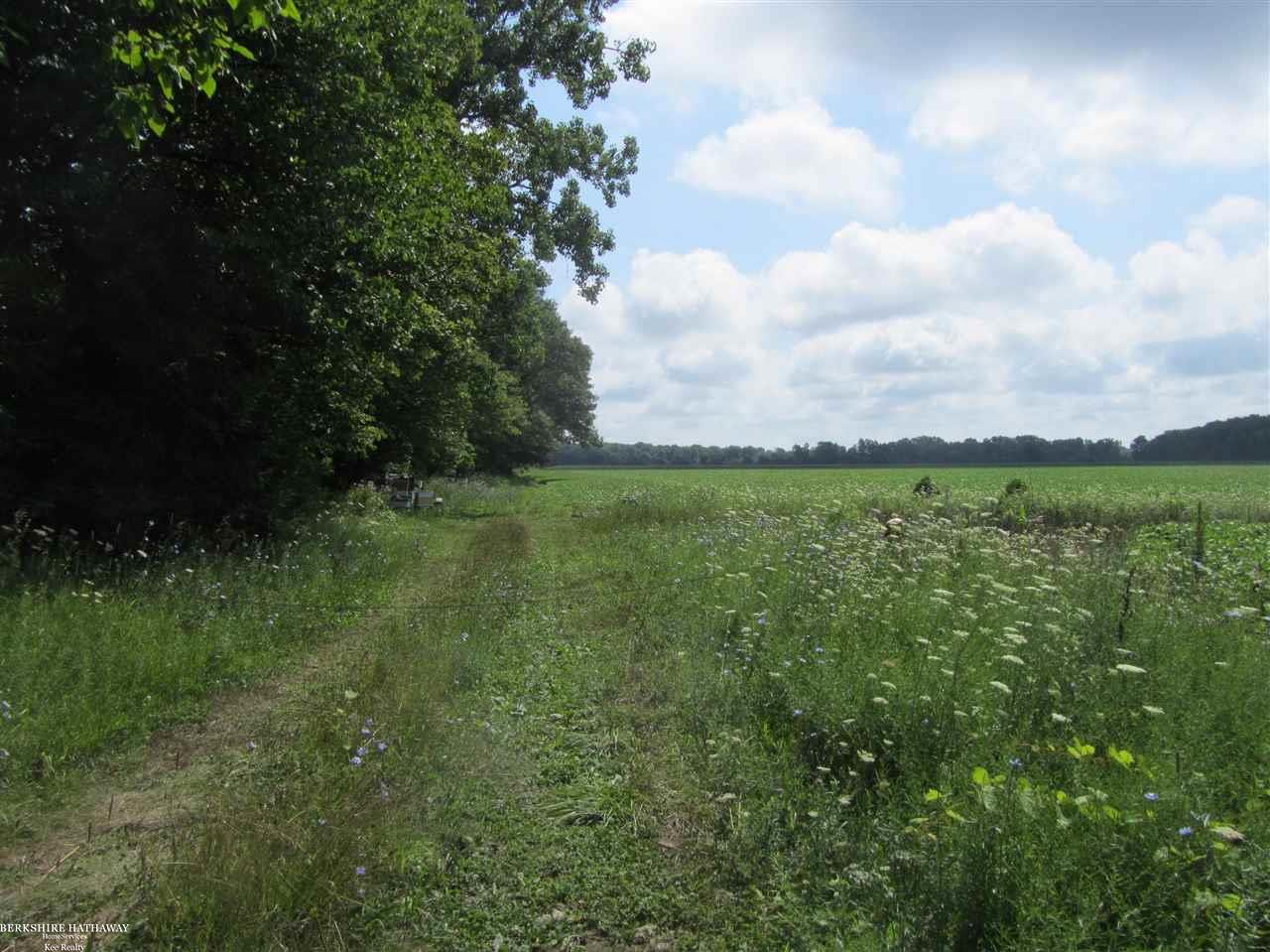 0 Capac Road Allenton, MI 48002 - Photo 2 of 4 50063654-1.JPG