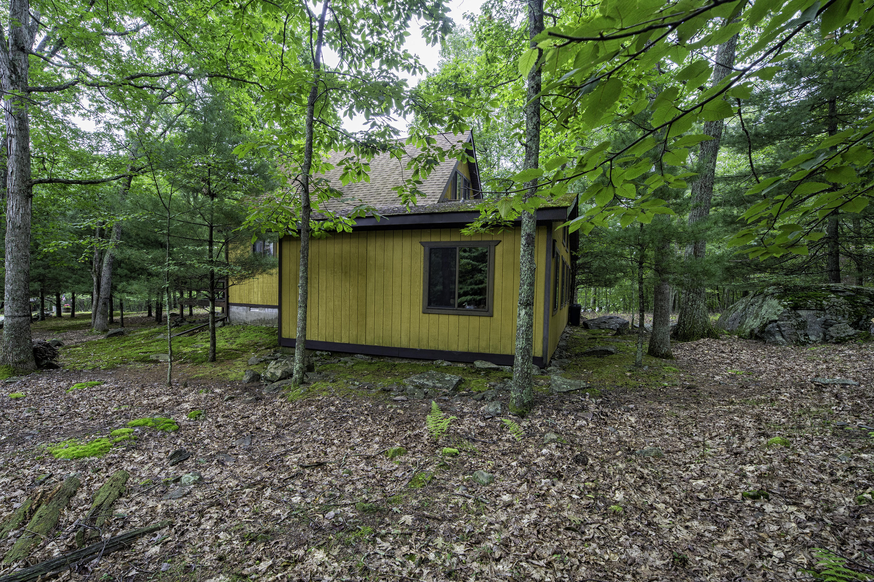 Rear Side View