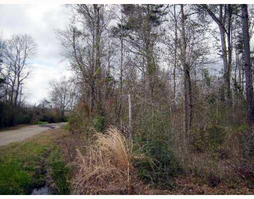 0 Keaton Road Angie, LA 70426 - Photo 2 of 4