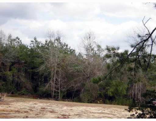 0 Keaton Road Angie, LA 70426 - Photo 3 of 4